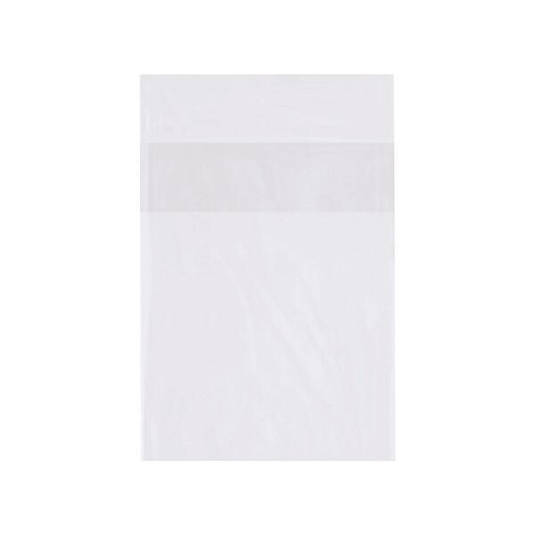 Bsc Preferred 5 x 7'' - 1 Mil Flap Lock Poly Bags, 2000PK BUY00026252 - main